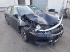 HONDA - ACCORD