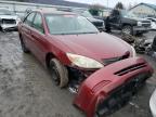 TOYOTA - CAMRY