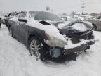 NISSAN - MAXIMA