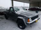 JEEP - COMANCHE