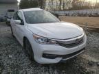 HONDA - ACCORD
