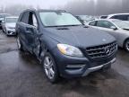 MERCEDES-BENZ - M-CLASS