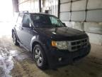 FORD - ESCAPE