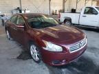 NISSAN - MAXIMA