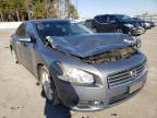 NISSAN - MAXIMA