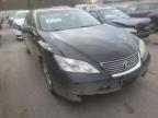 LEXUS - ES350