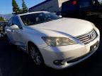LEXUS - ES350