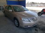 TOYOTA - CAMRY