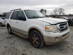 FORD - EXPEDITION