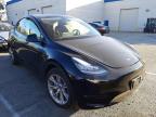 TESLA - MODEL Y