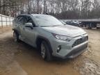 TOYOTA - RAV4