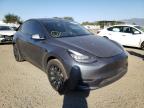 TESLA - MODEL Y