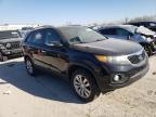 KIA - SORENTO