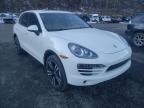 PORSCHE - CAYENNE