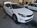 KIA - OPTIMA