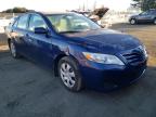 TOYOTA - CAMRY