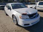 DODGE - AVENGER