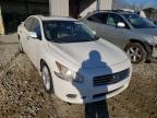 NISSAN - MAXIMA