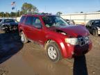 FORD - ESCAPE