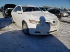 TOYOTA - CAMRY