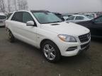MERCEDES-BENZ - M-CLASS