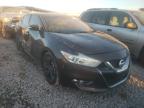 NISSAN - MAXIMA