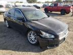 NISSAN - MAXIMA