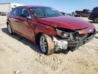 KIA - OPTIMA