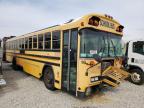 usados BLUEBIRD SCHOOL BUS