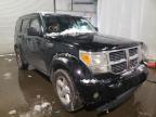 DODGE - NITRO