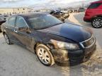 HONDA - ACCORD