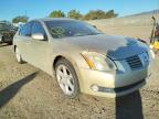 NISSAN - MAXIMA