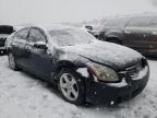 NISSAN - MAXIMA