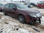 FORD - FUSION