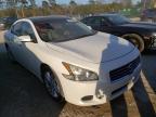 NISSAN - MAXIMA