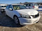 HONDA - ACCORD