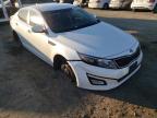 KIA - OPTIMA