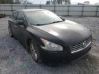 NISSAN - MAXIMA