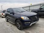 MERCEDES-BENZ - M-CLASS