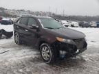 KIA - SORENTO