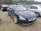 NISSAN - MAXIMA