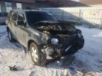 FORD - ESCAPE