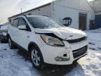 FORD - ESCAPE