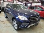 MERCEDES-BENZ - M-CLASS