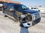 FORD - F-150