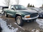 DODGE - DAKOTA