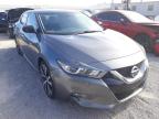 NISSAN - MAXIMA