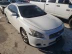 NISSAN - MAXIMA