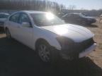 NISSAN - MAXIMA