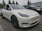 TESLA - MODEL Y